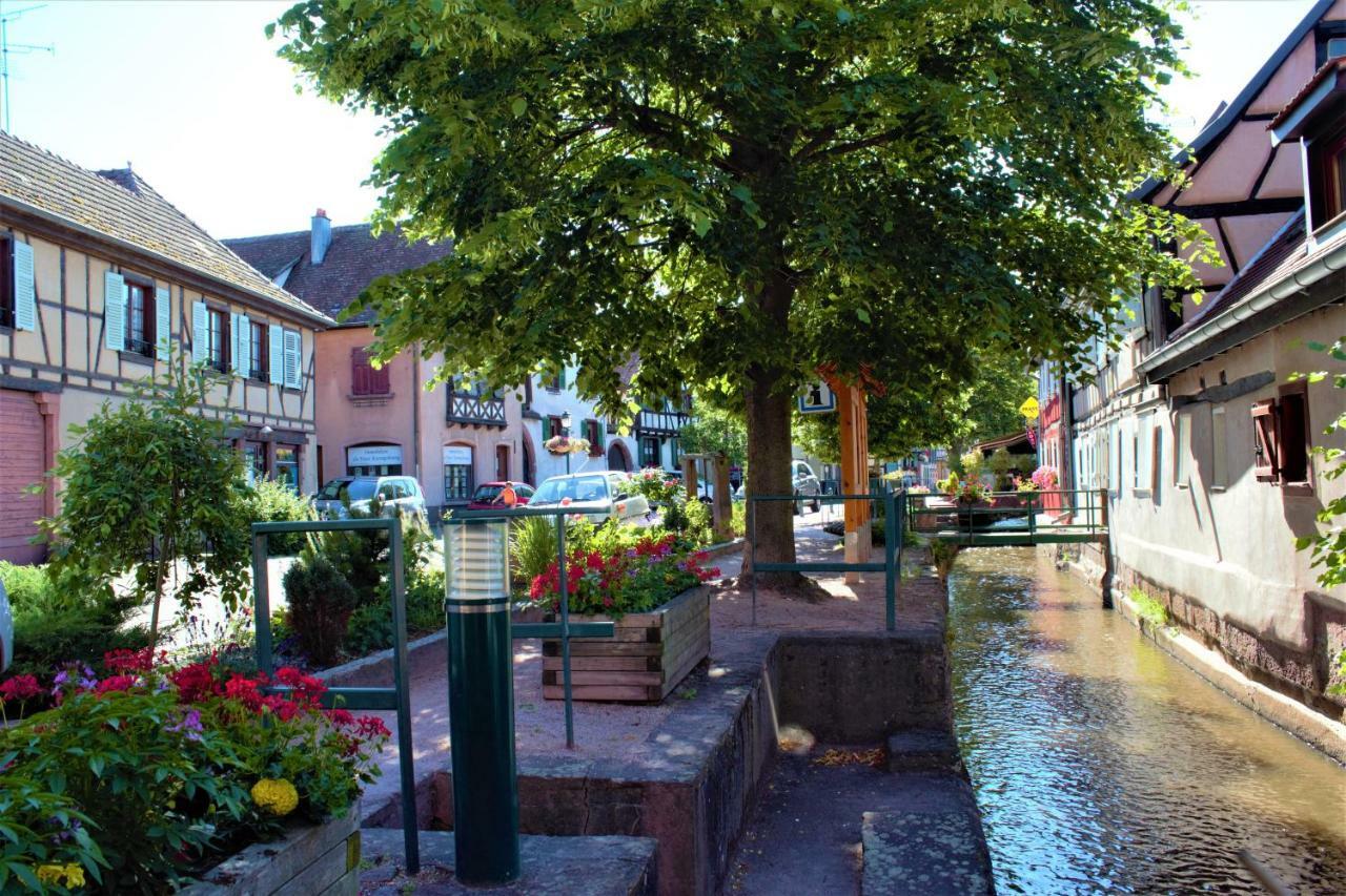 La Halte Des Vignes - Route Des Vins D'Alsace Appartement Scherwiller Buitenkant foto