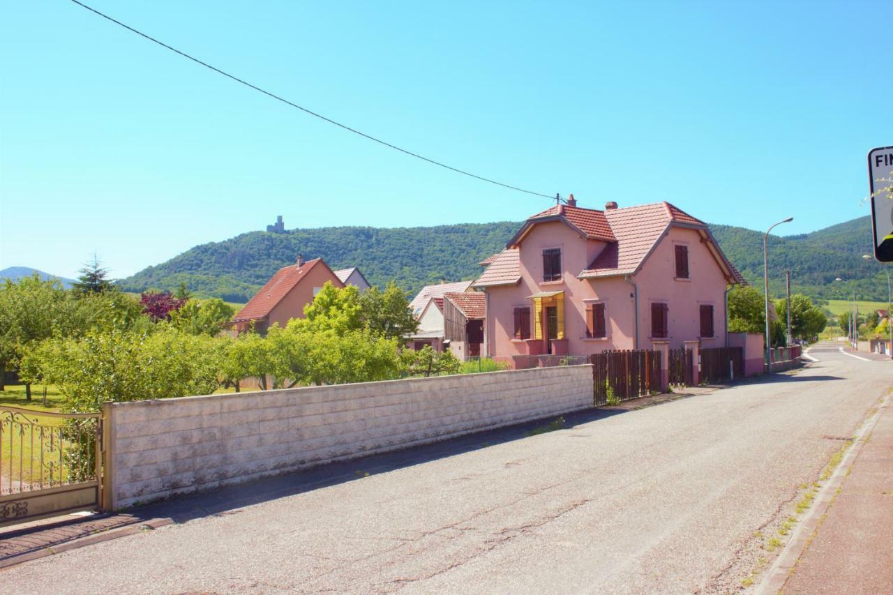 La Halte Des Vignes - Route Des Vins D'Alsace Appartement Scherwiller Buitenkant foto