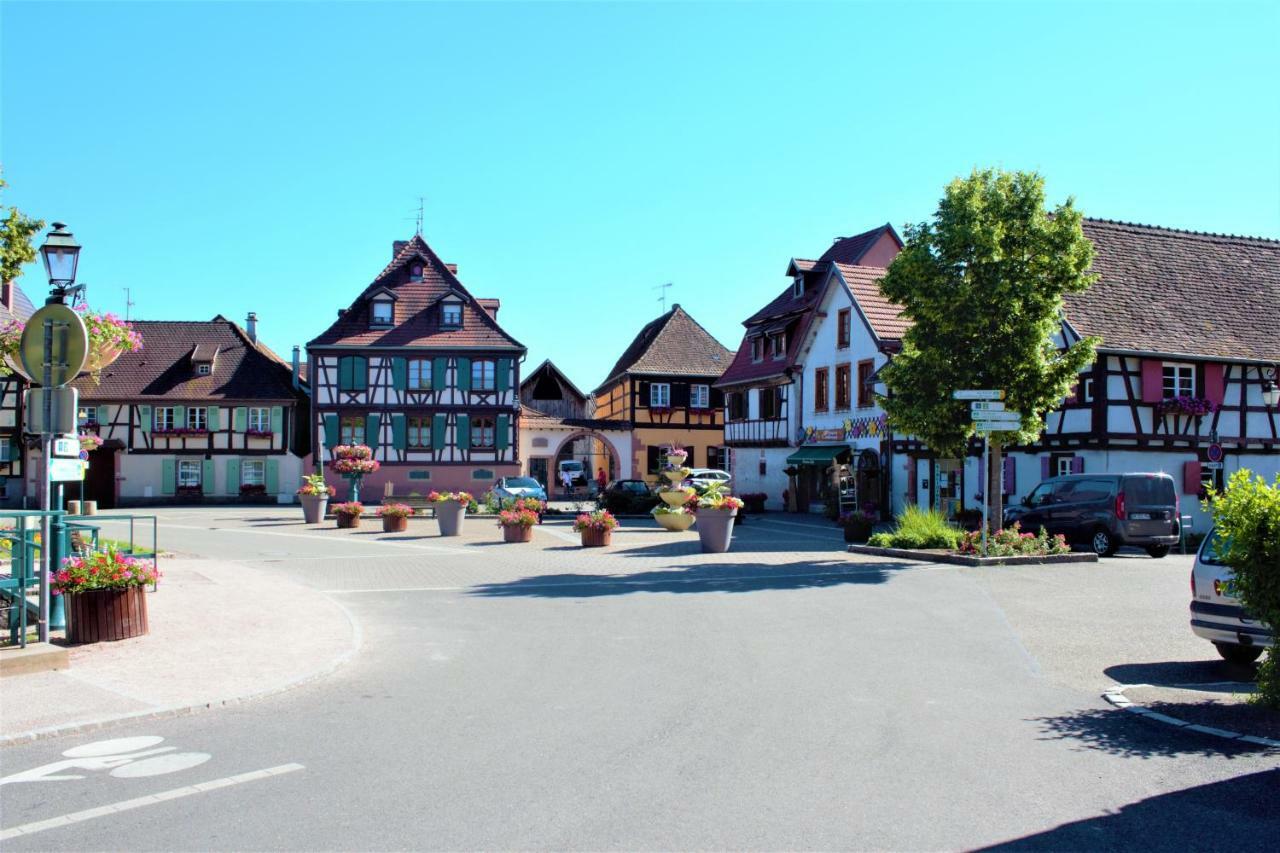 La Halte Des Vignes - Route Des Vins D'Alsace Appartement Scherwiller Buitenkant foto