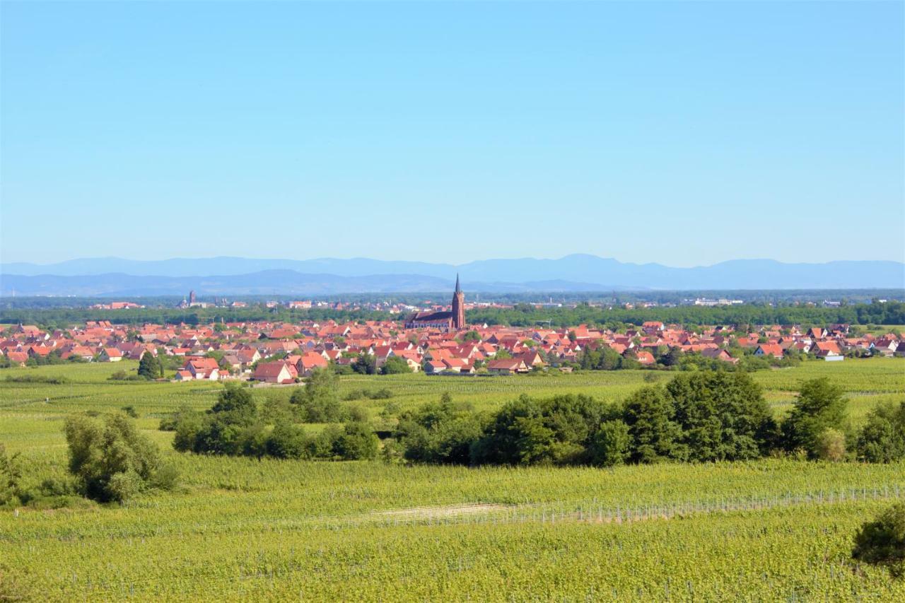 La Halte Des Vignes - Route Des Vins D'Alsace Appartement Scherwiller Buitenkant foto