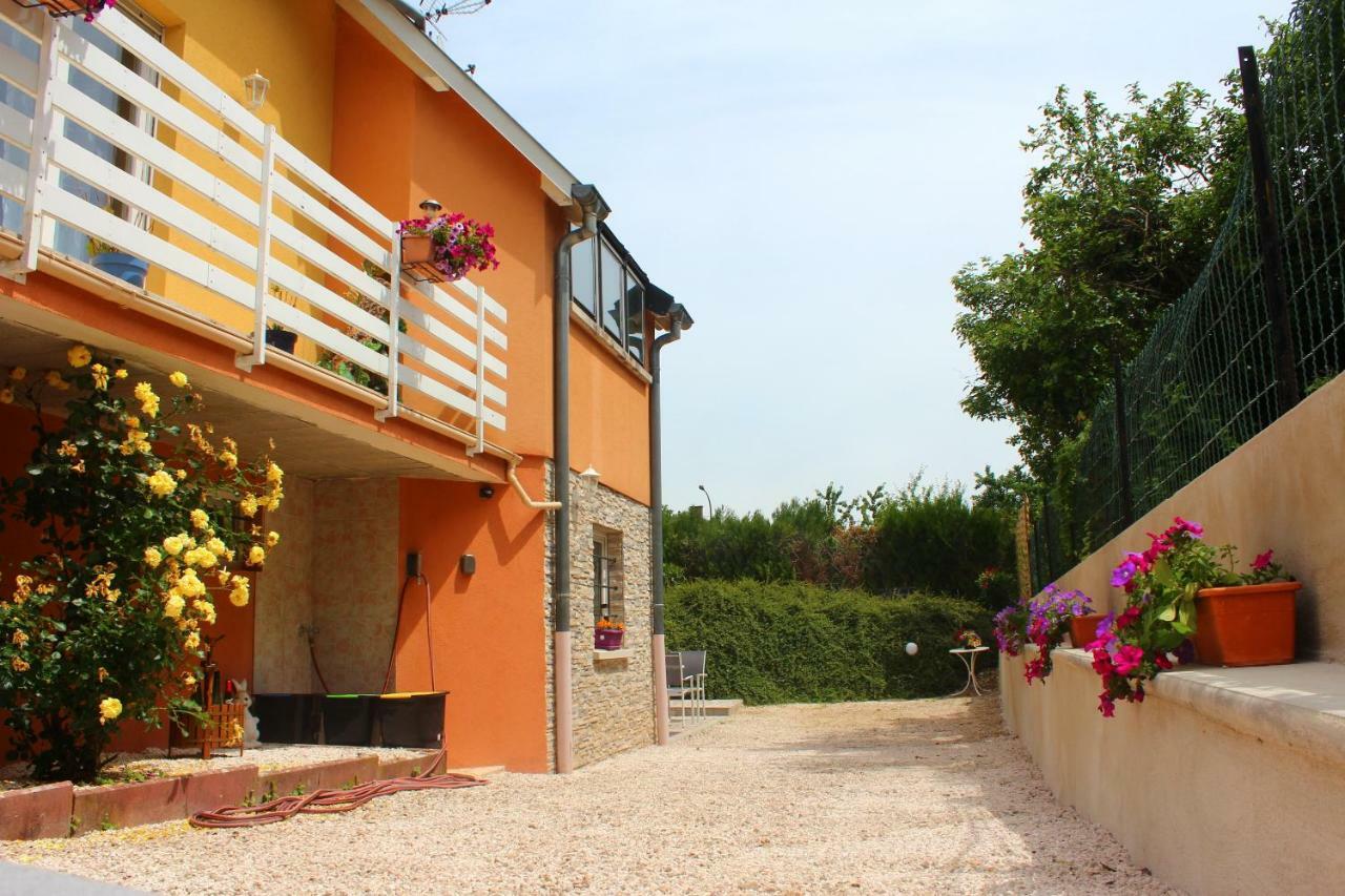 La Halte Des Vignes - Route Des Vins D'Alsace Appartement Scherwiller Buitenkant foto